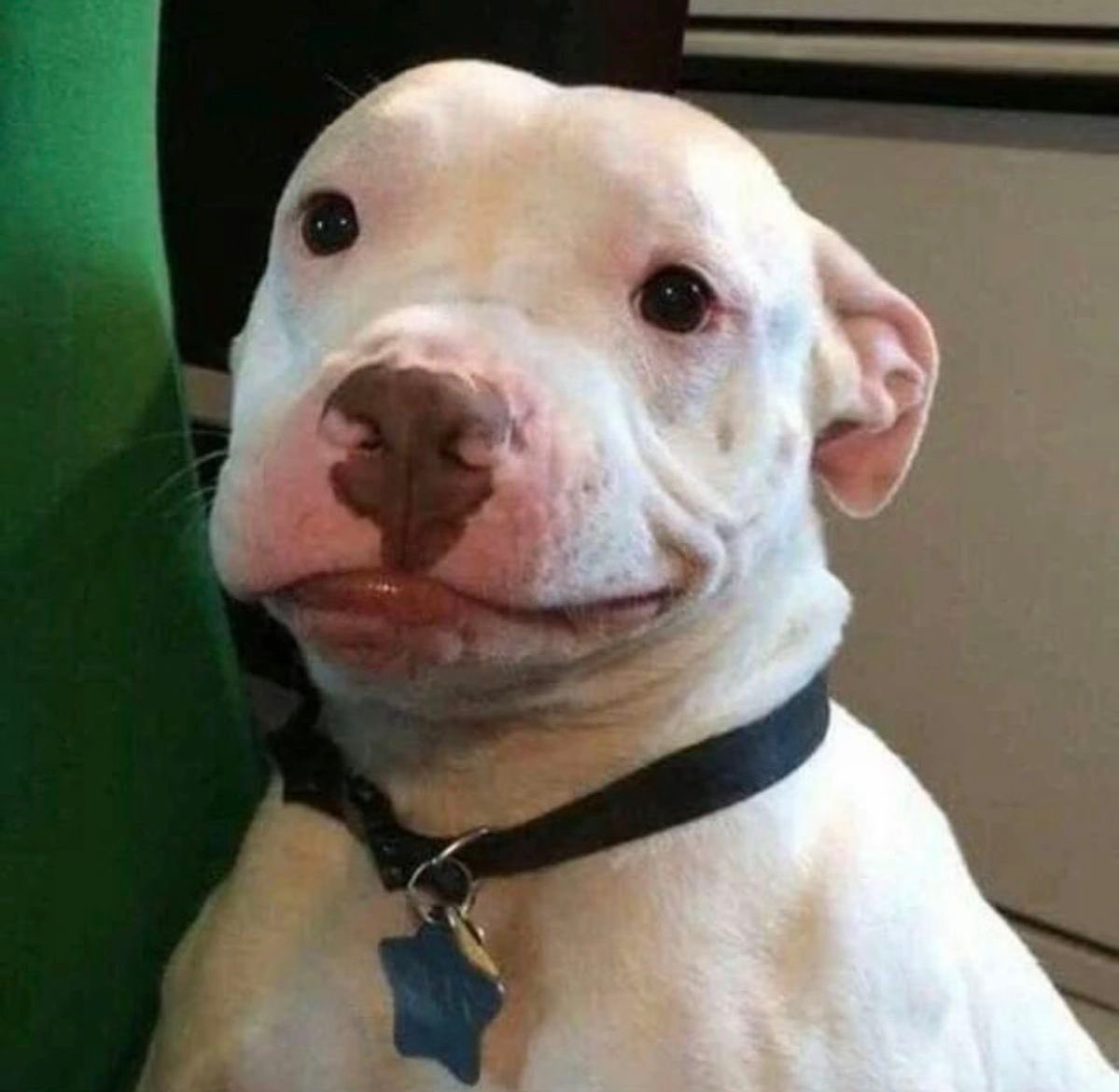 SOFTWILLY🌹 tweet media