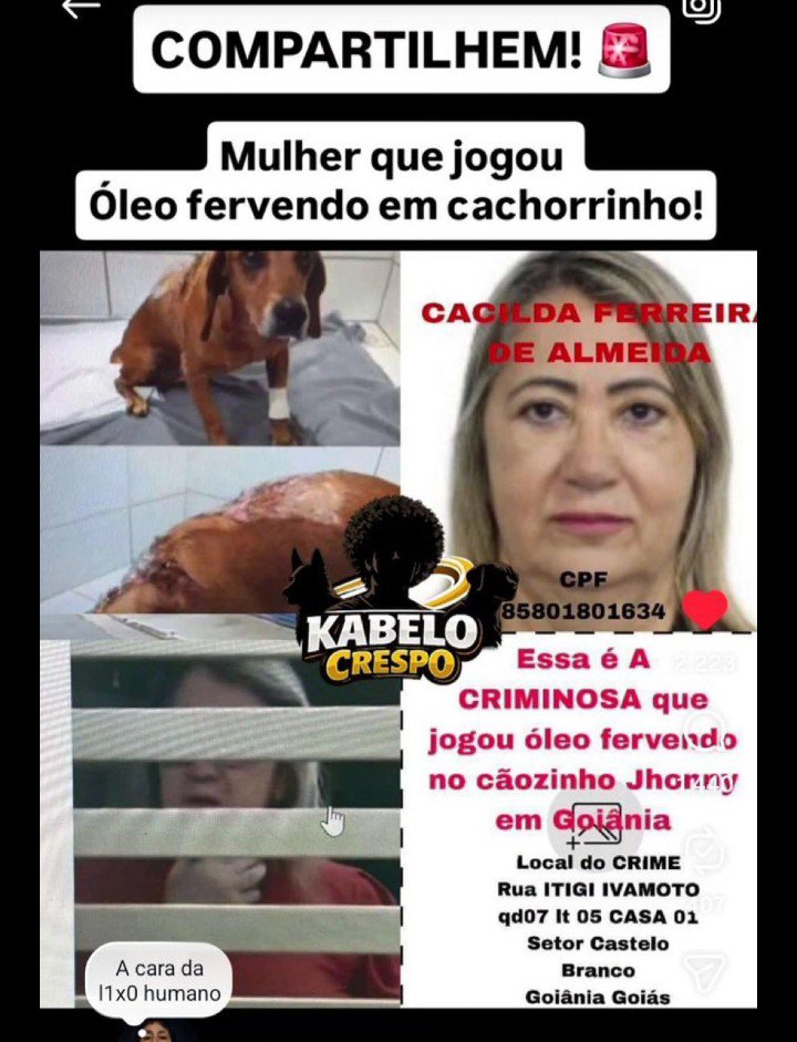 EU AMO OS ANIMAIS ♥️🐕 tweet media