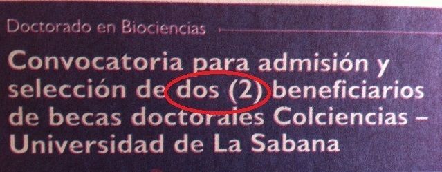 Luz Mayorga tweet media