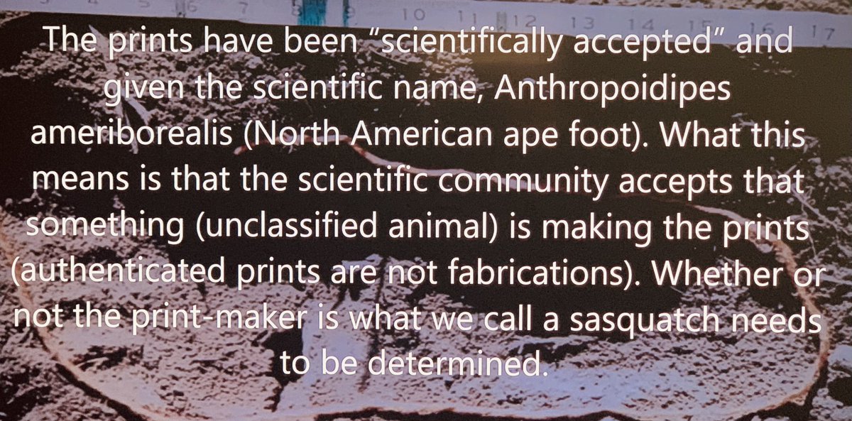 Adam Kolkowski tweet media