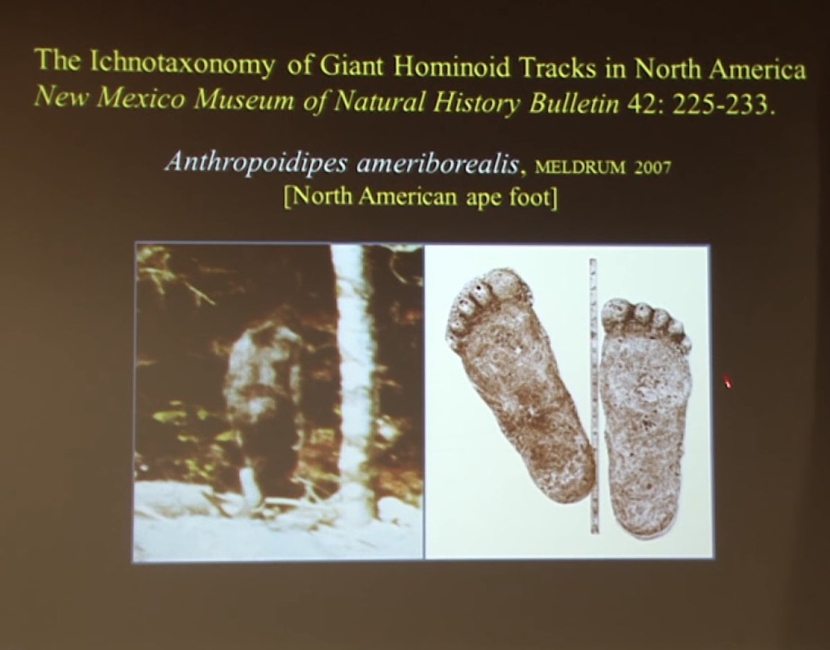 Adam Kolkowski tweet media