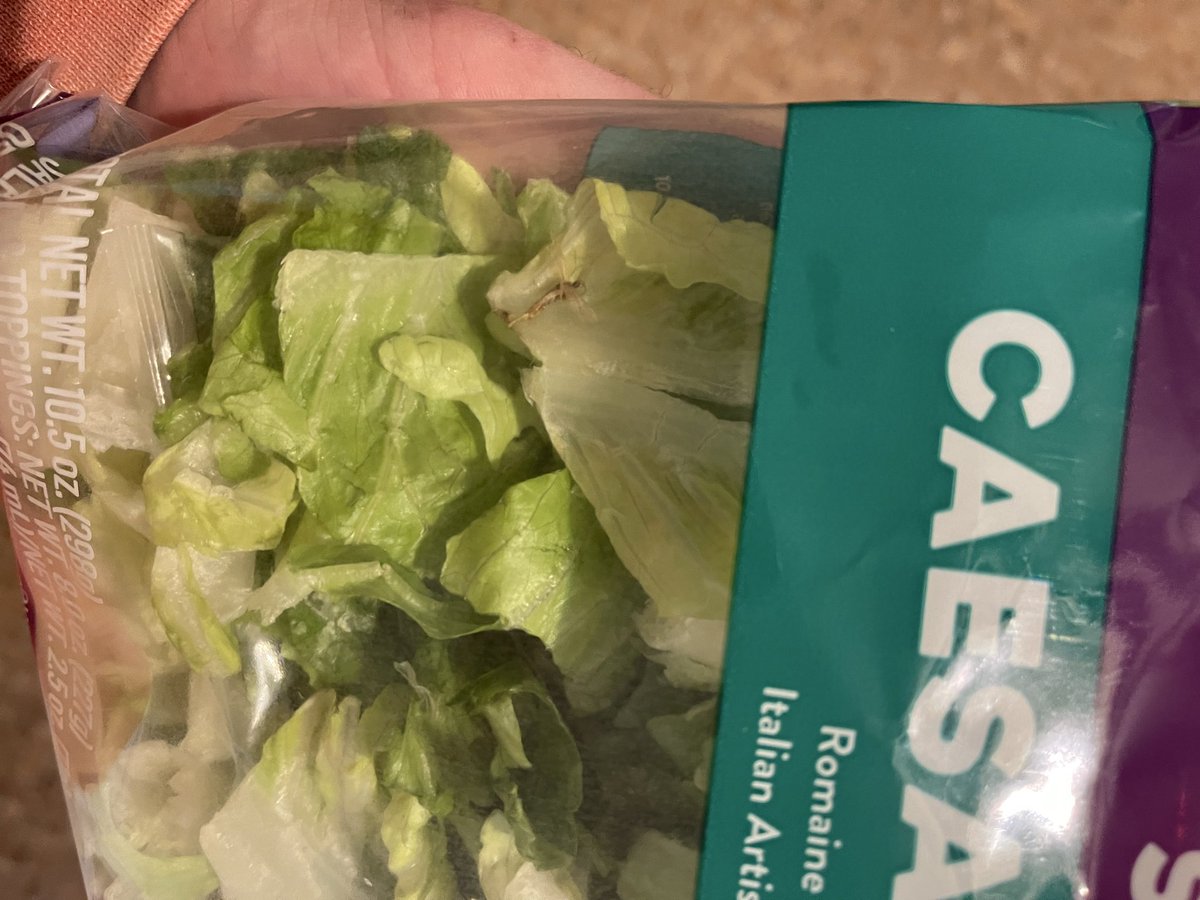 RemitheBull tweet media