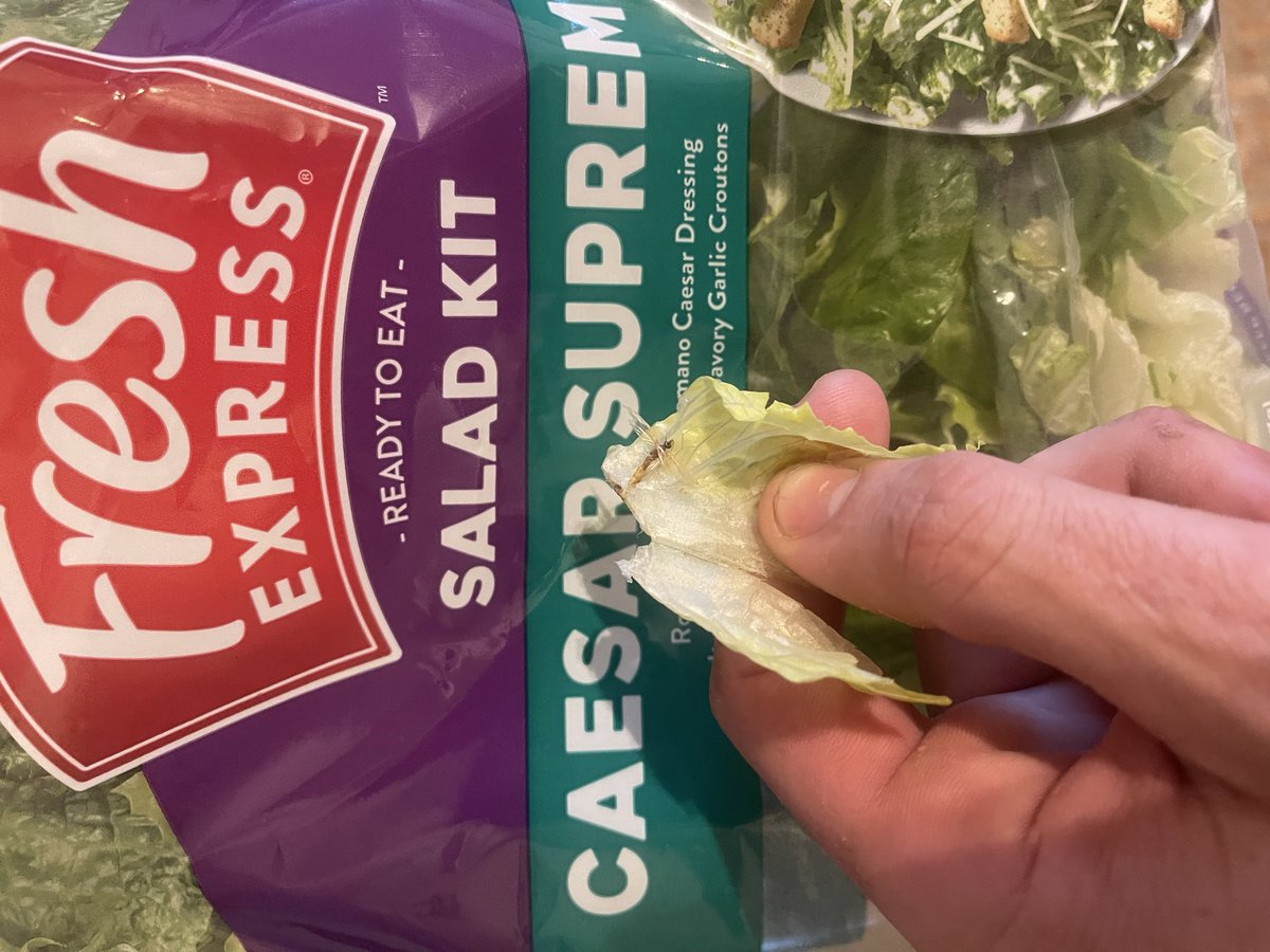 RemitheBull tweet media