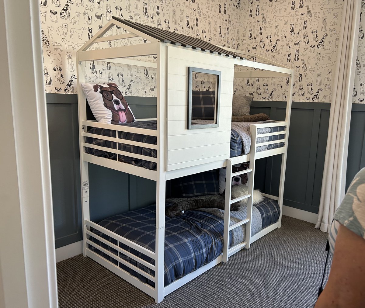 The Adventures of Beau & Dusty tweet media