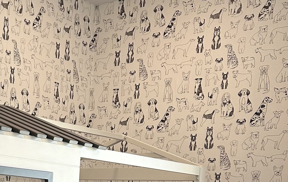 The Adventures of Beau & Dusty tweet media