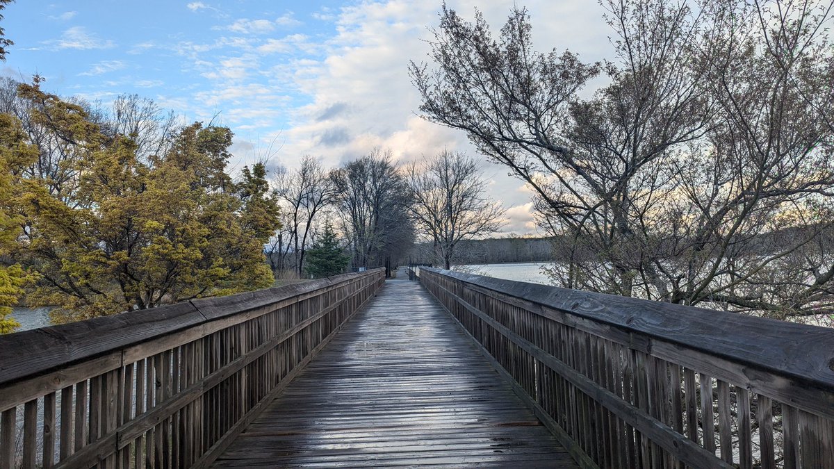 [P]articleion tweet media