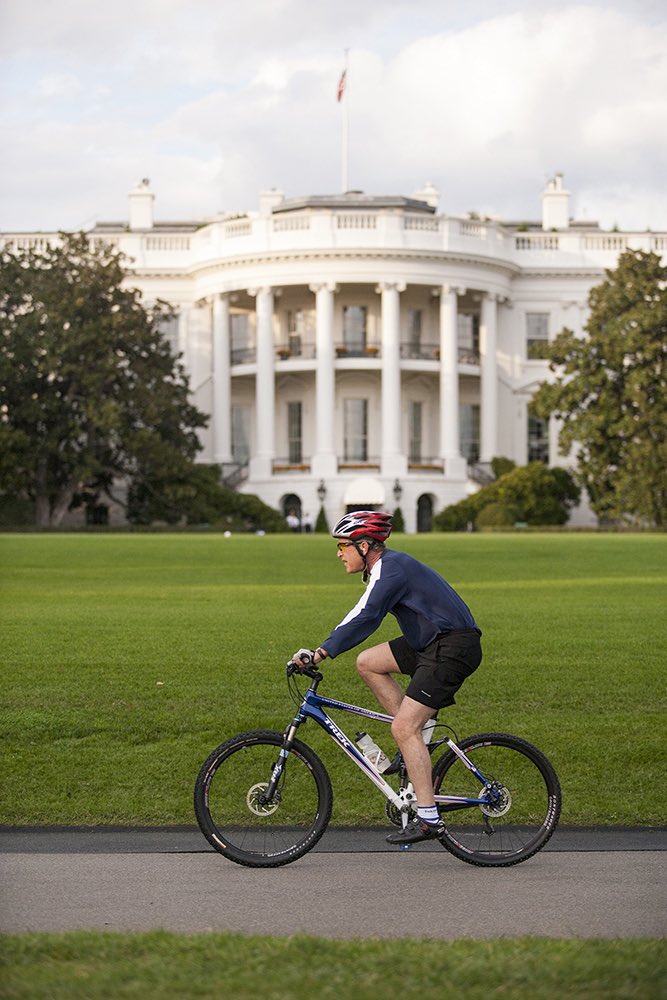 The Bush Archive tweet media