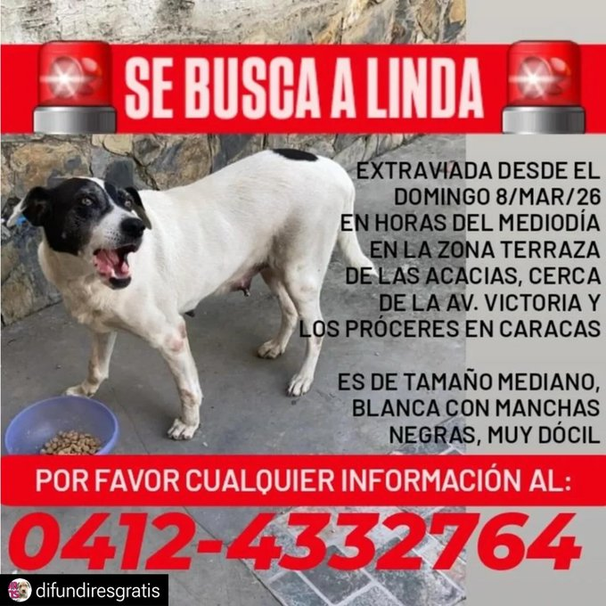 BettySoto tweet media