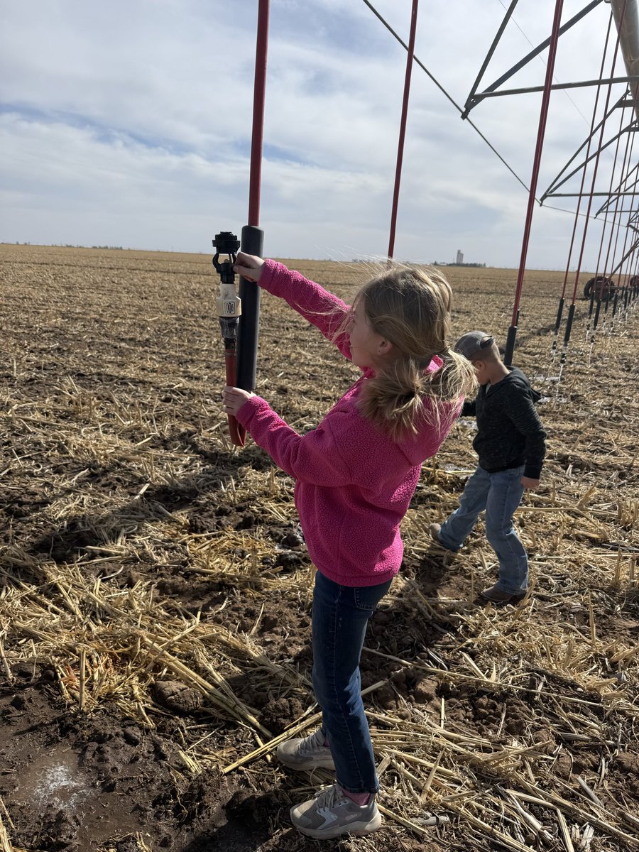 I’ve waited a long time for the kids to be old enough to clean nozzles.