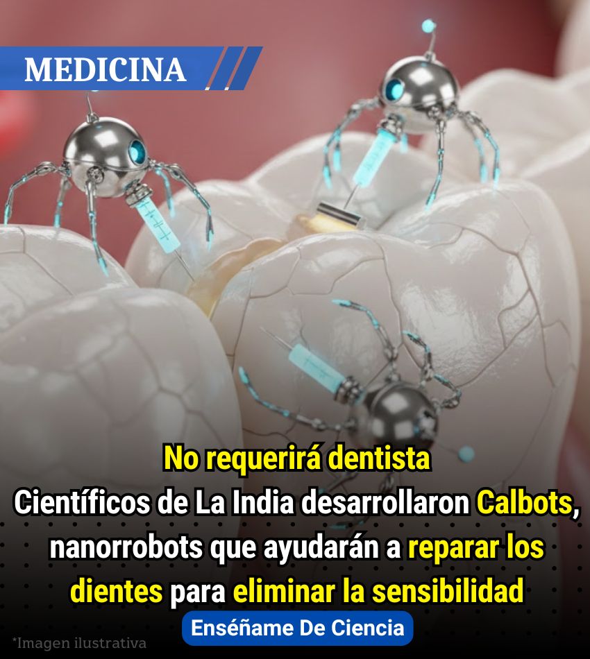 🚨Los nanorrobots (Calbots), son capaces de formar sellos duraderos en aquellos dientes que presentan el esmalte desgastado. Gracias a ello es que una sola aplicación sería suficiente para ofrecer un alivio prolongado para la sensibilidad.