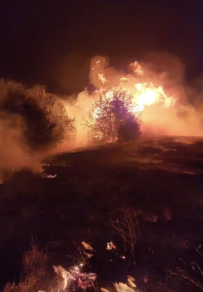 Nebraska Cattlemen® tweet media