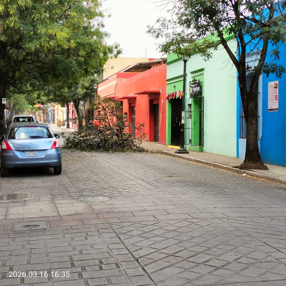 Protección Civil - Oaxaca de Juárez tweet media