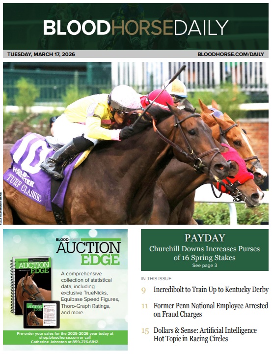 BloodHorse tweet media