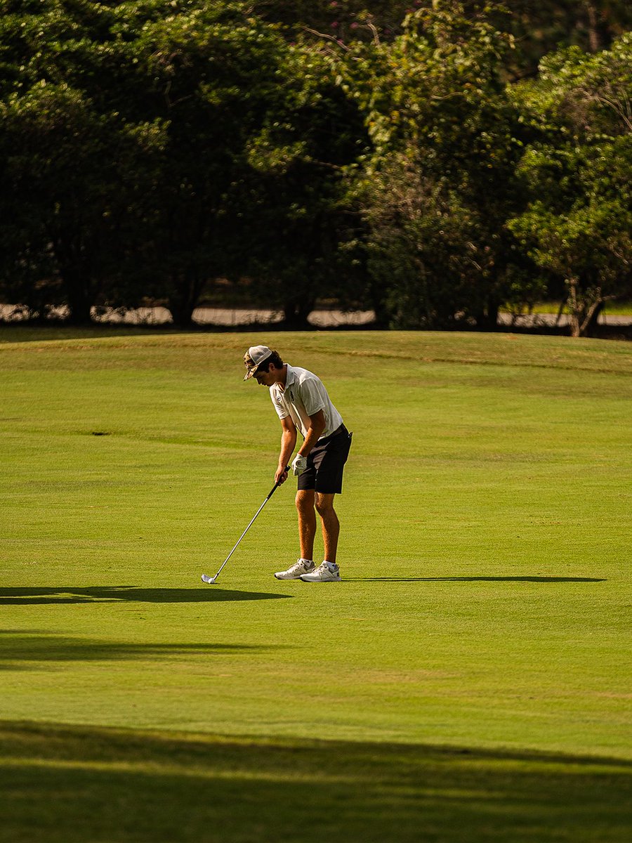 Southern Miss Golf tweet media