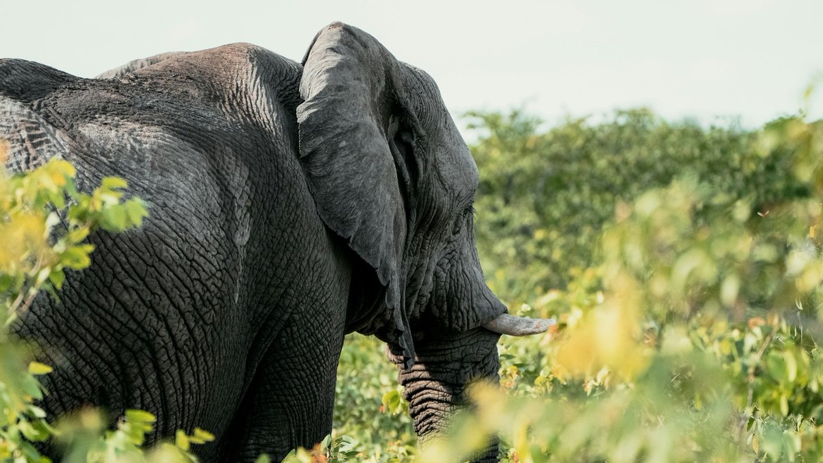 matadornetwork tweet media