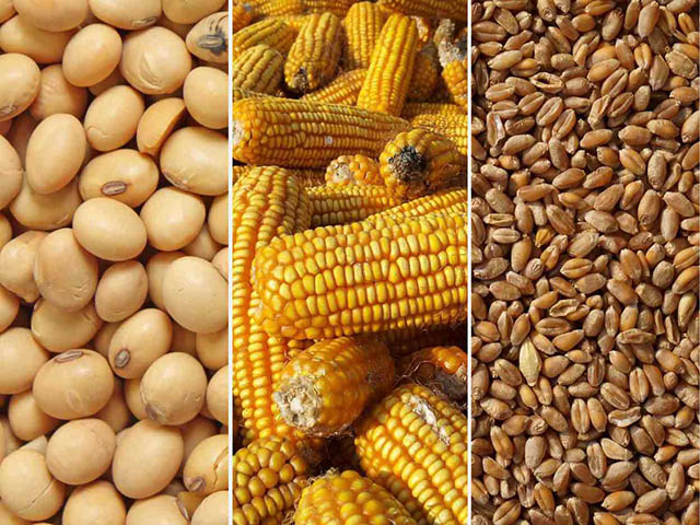 elrural's tweet image. 🌽Sin DEX, la producción de granos crecería 50% en una década, según FADA
#DEX #Granos #Producción @FundacionFada 

👉 elrural.com/?p=312154

Más información en📌 elrural.com