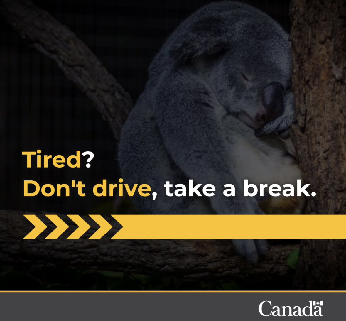 TPS Traffic Services tweet media