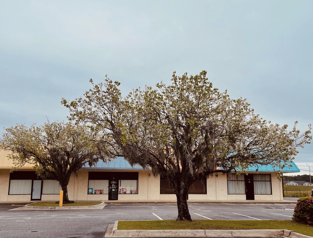 fred gretsch tweet media