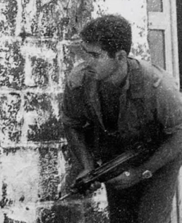 Vivid.🇮🇱 tweet media