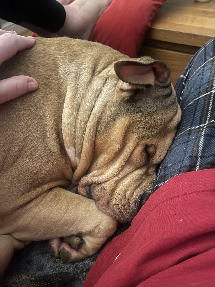 David Mooney tweet media