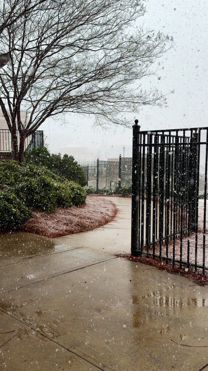 David Moore tweet media