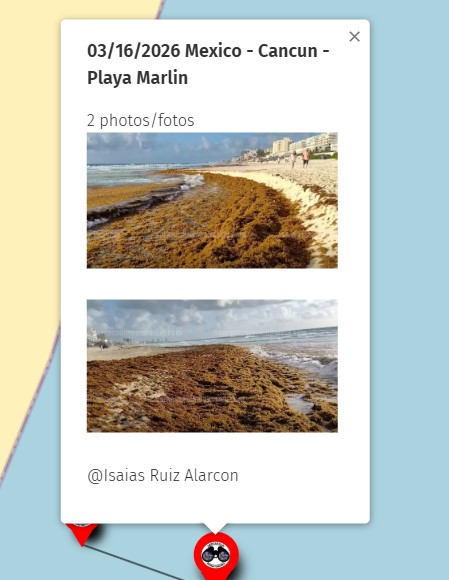 Sargassum Monitoring® tweet media