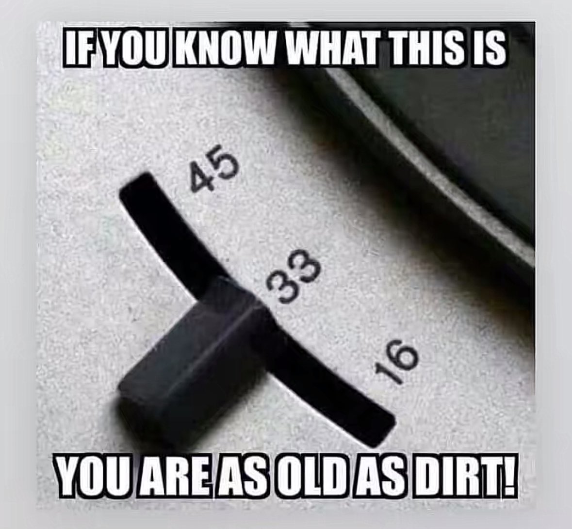 Trumplicans2024.com tweet media