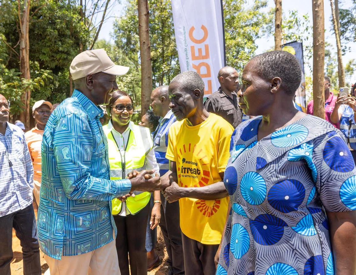 George T. Diano tweet media