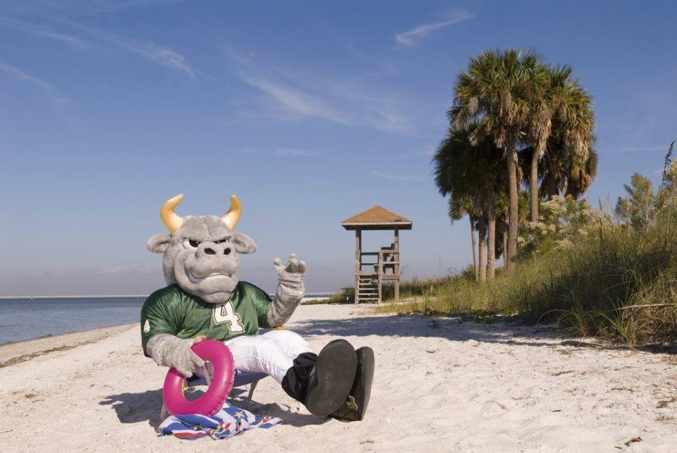 USF Public Health tweet media