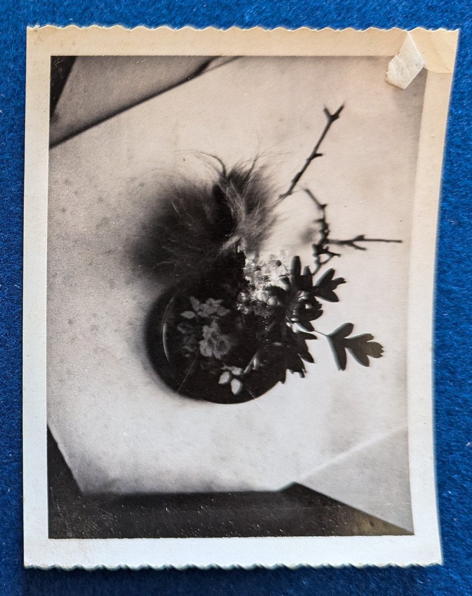 Collecting Agatha Christie tweet media