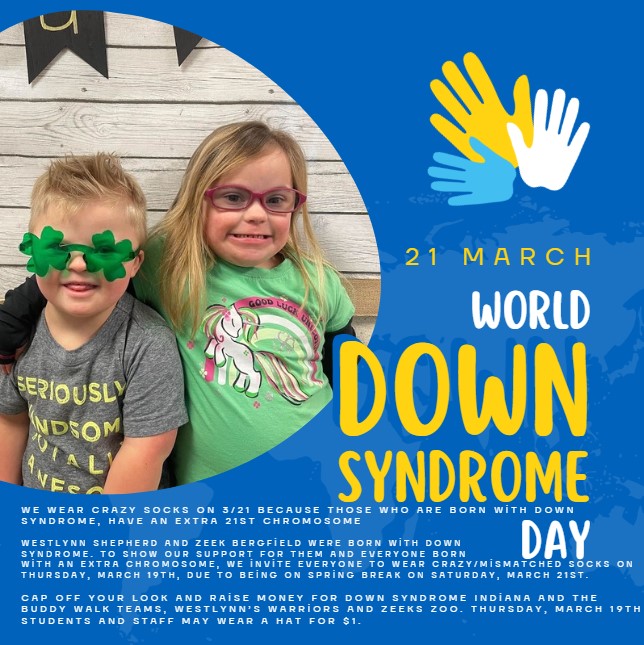 Emily Schaeffer tweet media