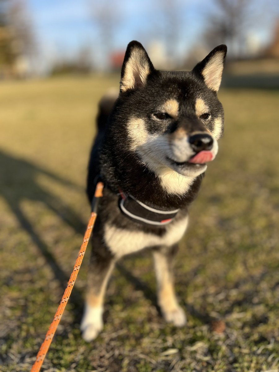 ﾍﾟﾛﾘ〜ﾇ☺︎ﾖﾀﾞﾚﾉﾌ tweet media