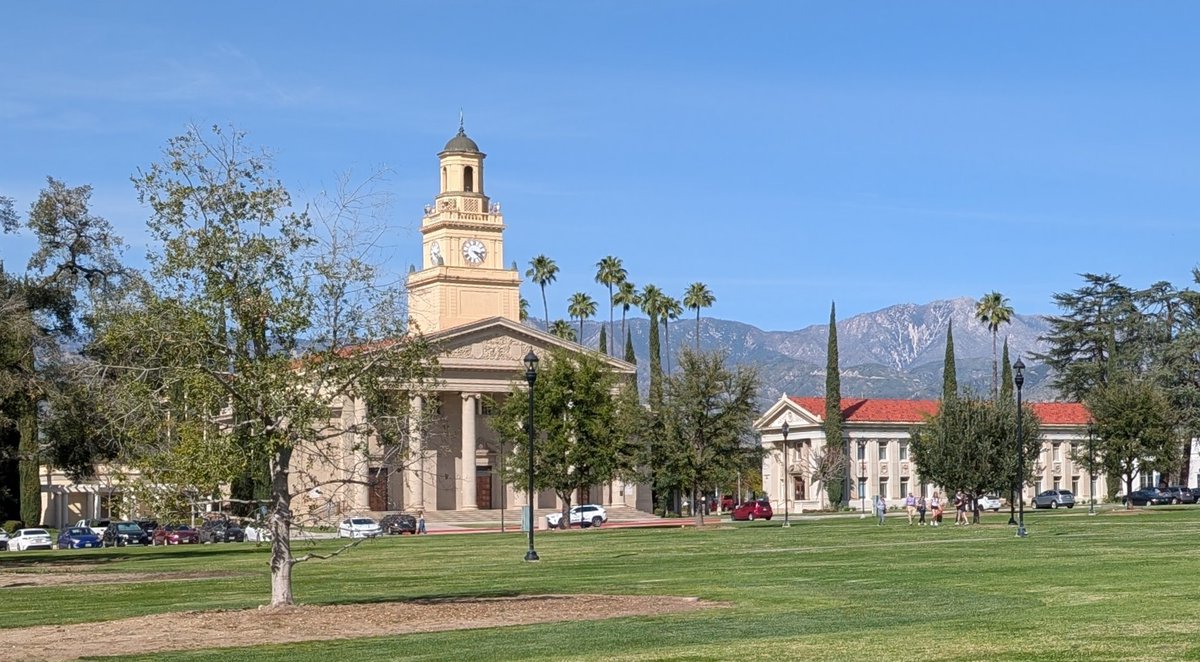 Kenneth Field tweet media