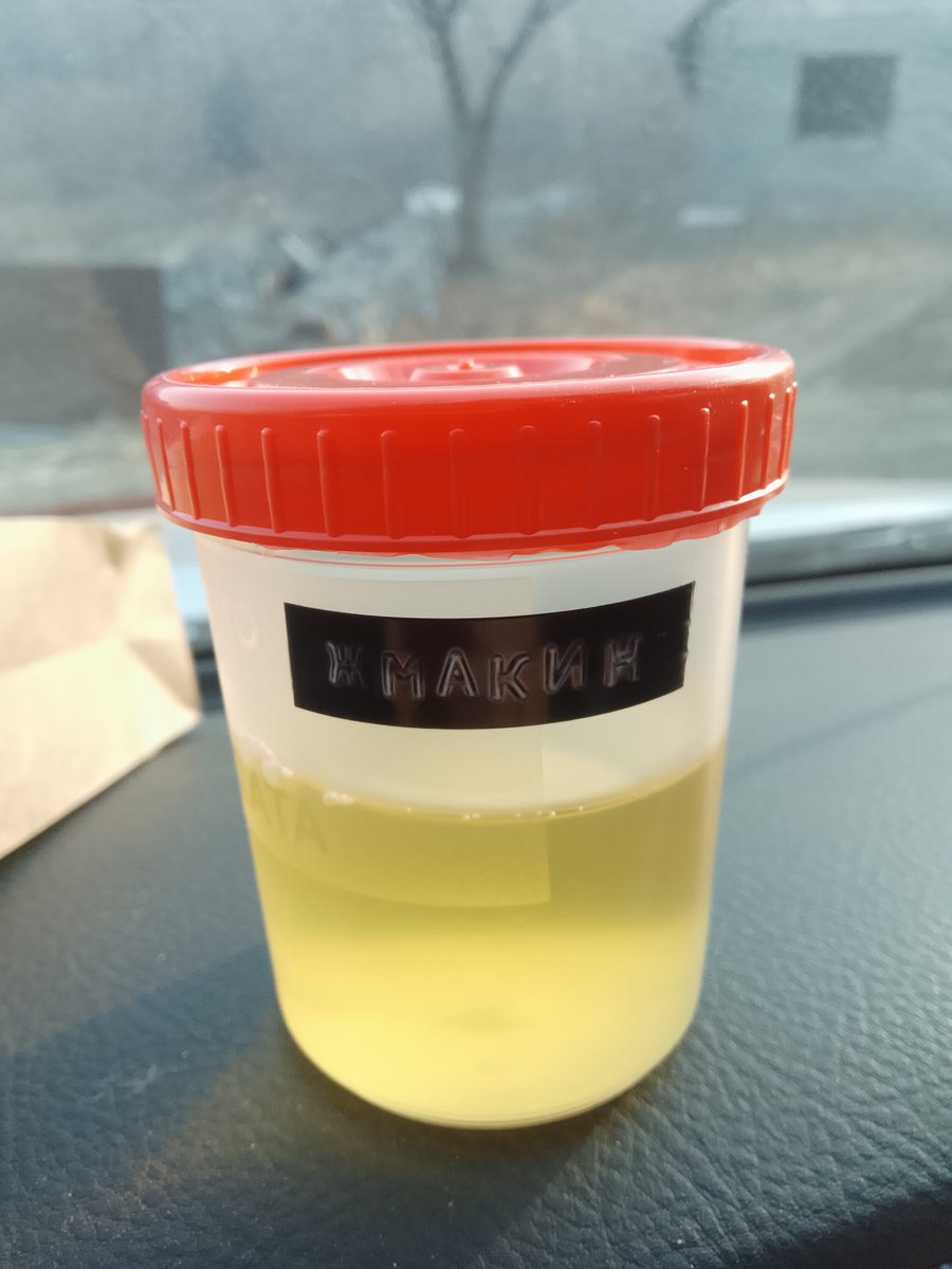 Лесное 🐈-водство tweet media