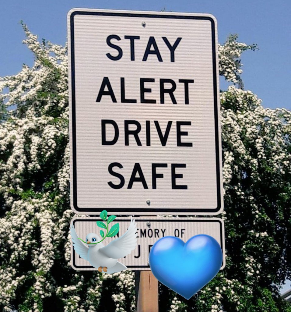 •◉wonder of elvis◉• {belinda} tweet media