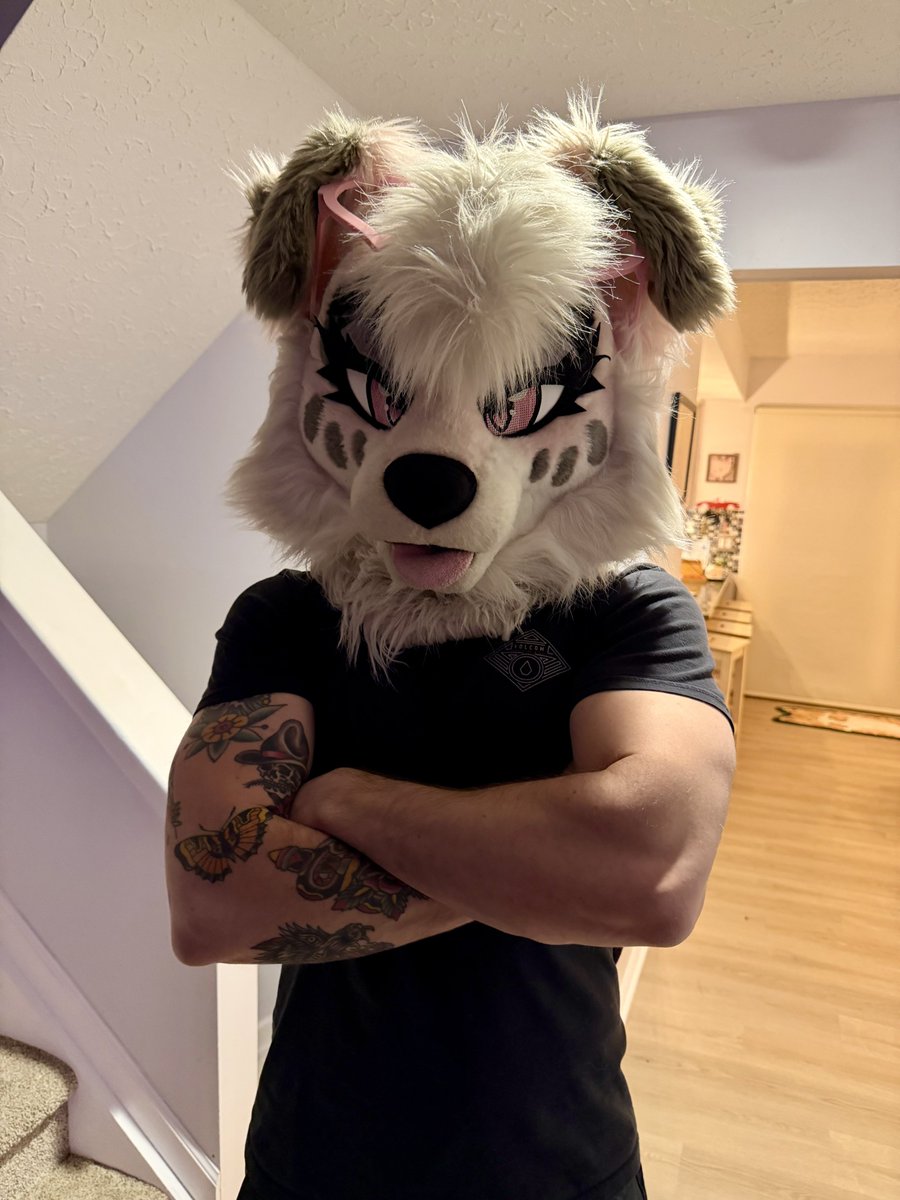 sheep 🔜 LVFC 🎲 tweet media