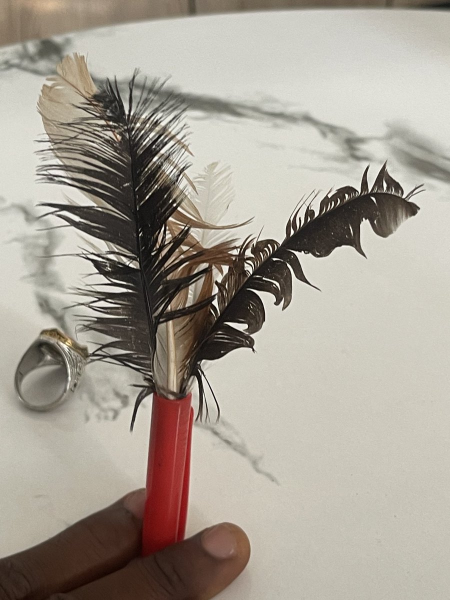 vsm cartel 🃏 #Swappedcom tweet media