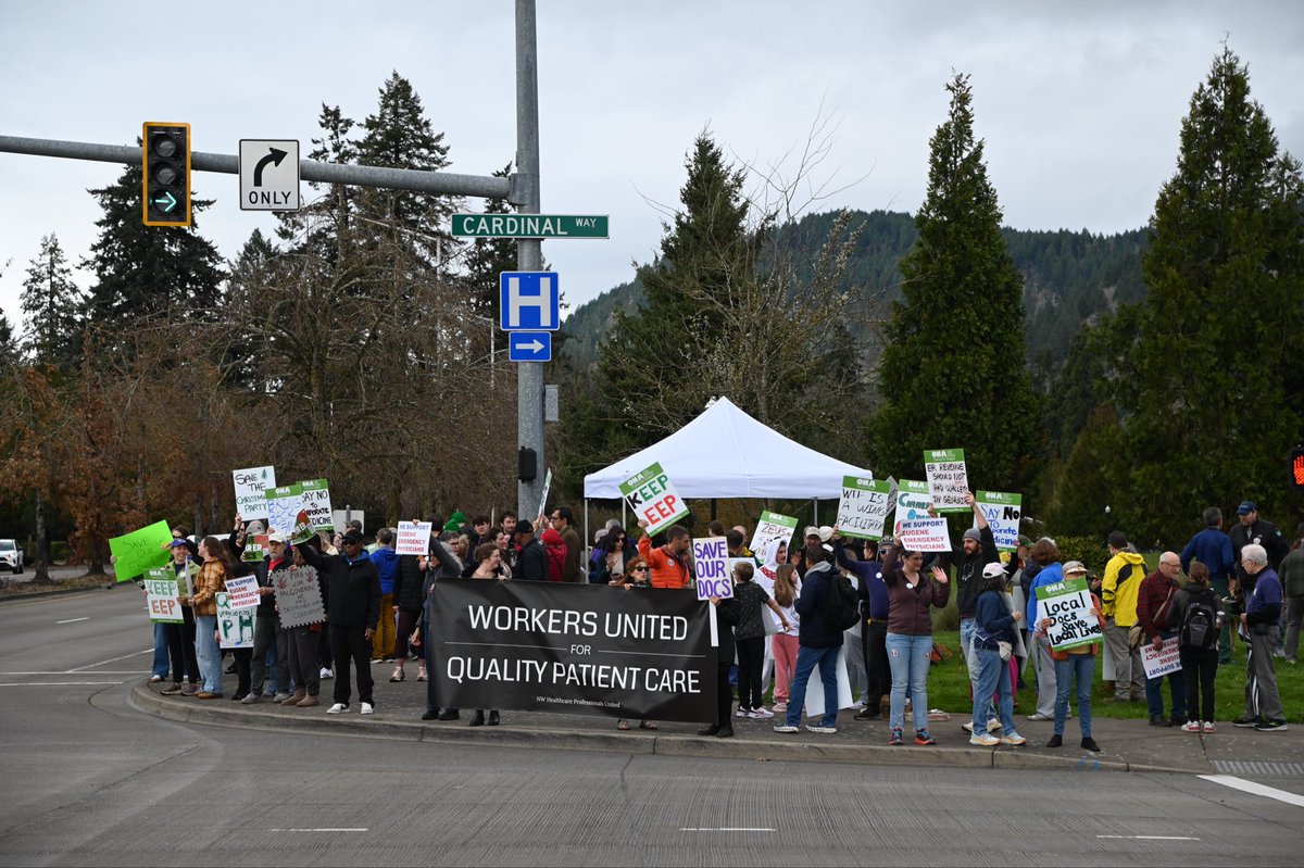 Representative Val Hoyle tweet media