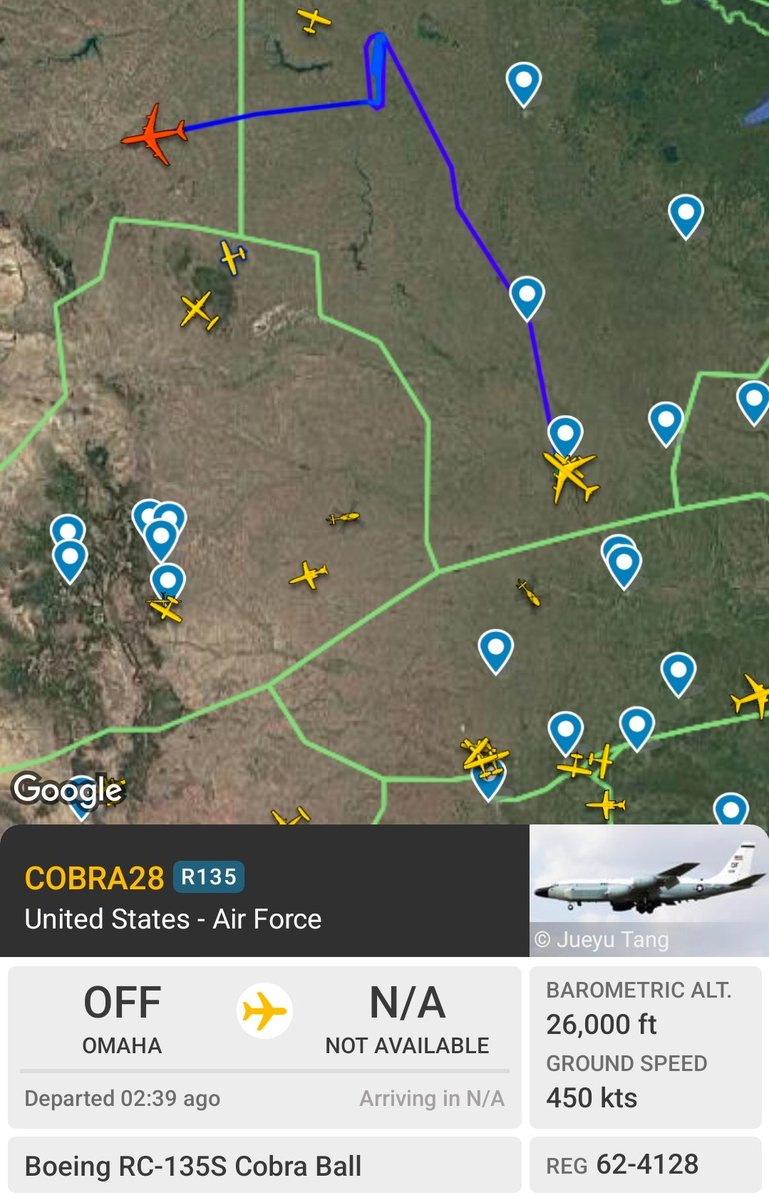 NYPrepper tweet media