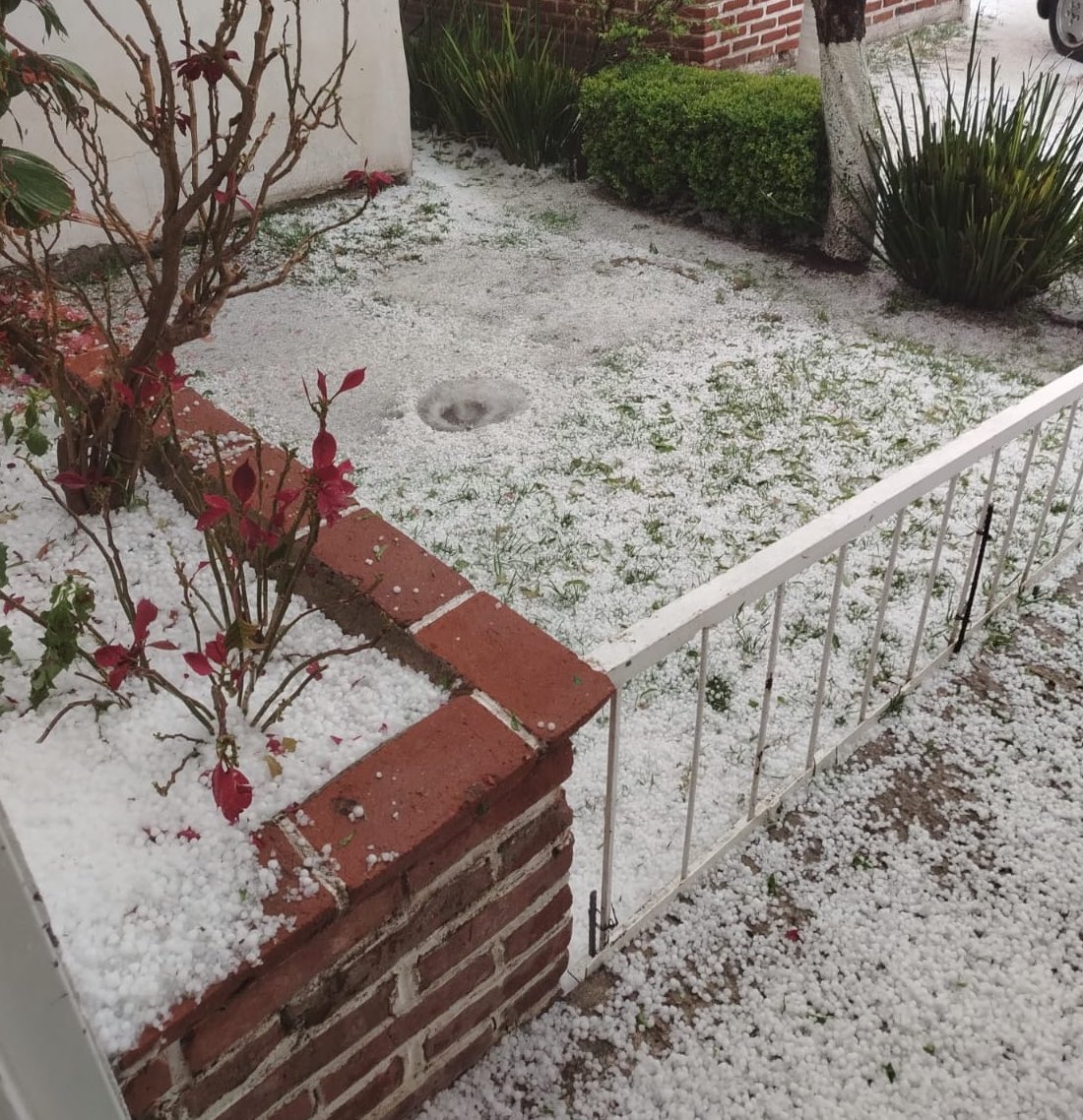 Indiwulf tweet media