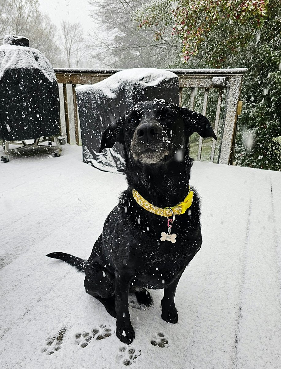 Kacie 🍀 tweet media