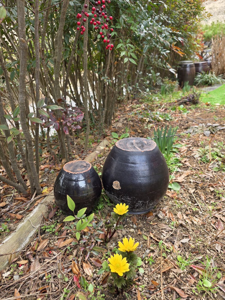 국민의힘 전남도당 위원장 tweet media