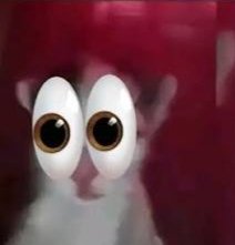 Fr9n6op7f0 tweet media