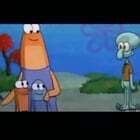 literal memes tweet media