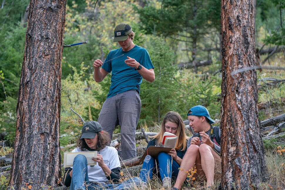 DU Alumni tweet media