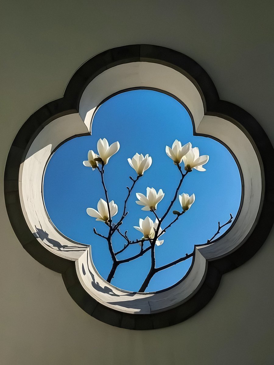 𝑺𝒆𝒓𝒆𝒏𝒍𝒚 tweet media