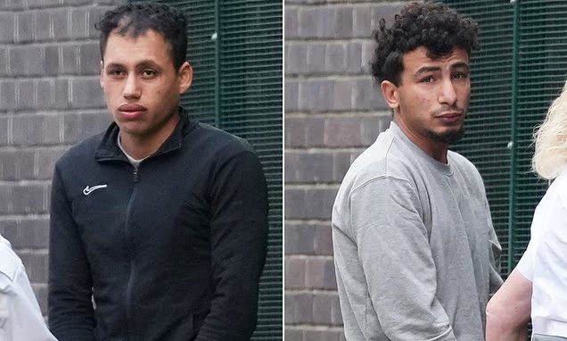 Tommy Robinson 🇬🇧 tweet media