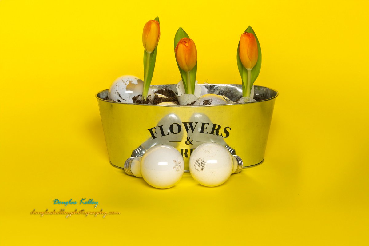 Douglas Kelley tweet media