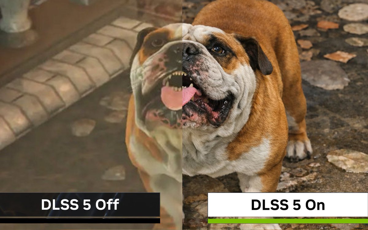 Team FOLON tweet media