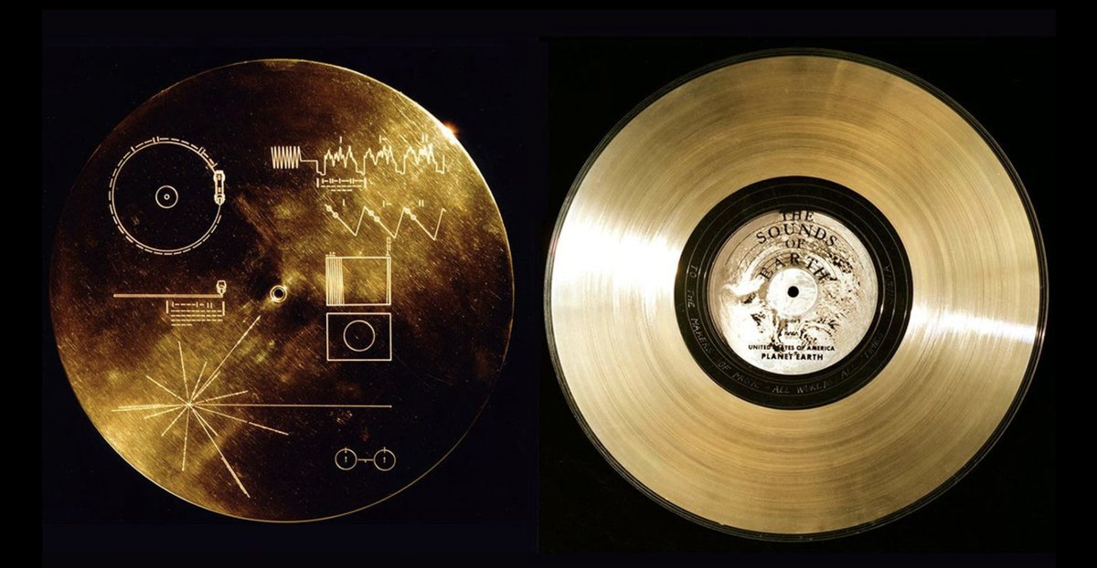 LaD 🌍2️⃣ tweet media